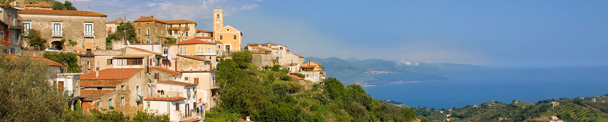 Übersicht Olivenbäumen in Casal Velino